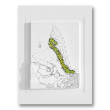 St Andrews Link Old Course & Town In 3d